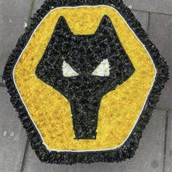 Wolves logo 