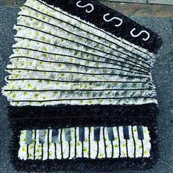 Black and white accordion 