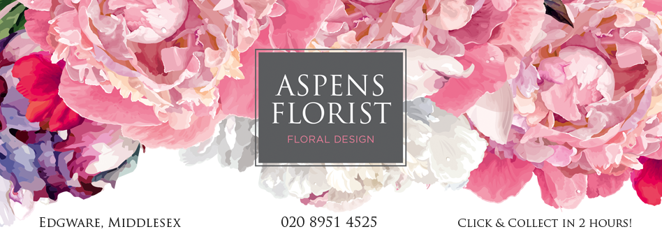 Aspens Florists