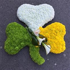3 leaf clover
