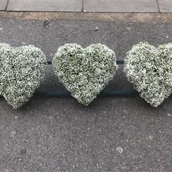 3 Gyp heart 