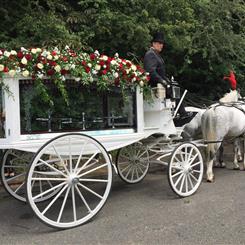 Dressing of Horse and carriage