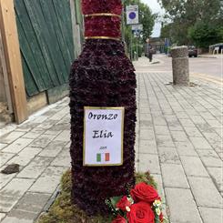 Red Wine Bottle 