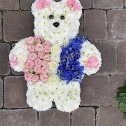 Teddy Bear 