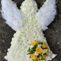 Angel 