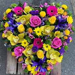  Bright and vibrant Heart 