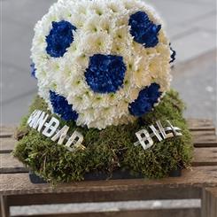 3D FOOTBALL