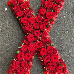 Large Rose Kiss 