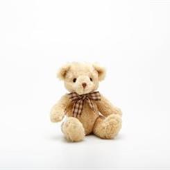 James Junior Bear 