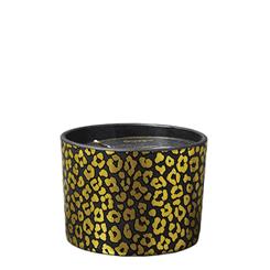 Animal Luxe Midnight Pomegranate Scent