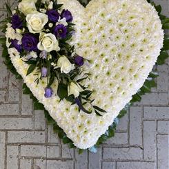 Purple &amp; White heart with foliage edge 