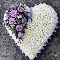 Lilac heart