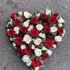Red and white rose solid heart 