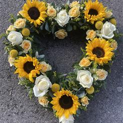 Sunflower heart 