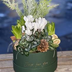 Winter hatbox planter 
