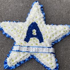 Star Tribute 