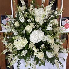 White Pedestal 