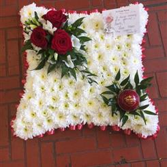 Red &amp; White Cushion