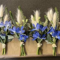 Blue Delph &amp; Pampas