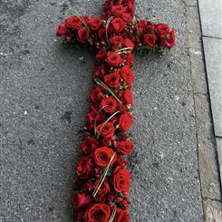 All red rose cross