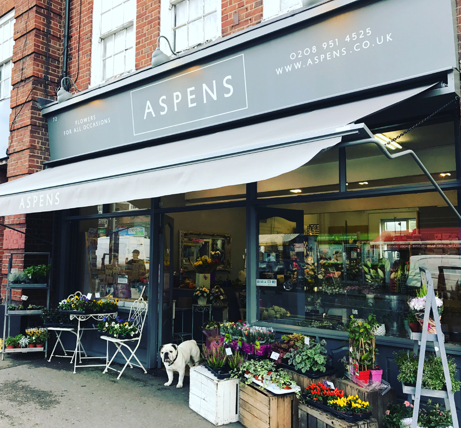 Aspens Florist Edgware