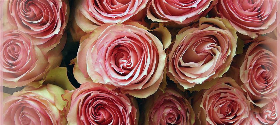 Aspens Florists