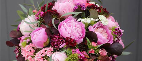 Flowers for all occasions