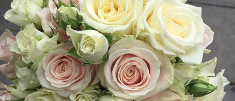 Wedding Flowers