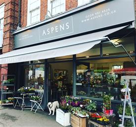 Aspens Florist Edgware