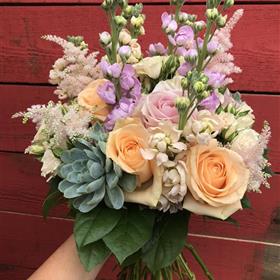 fwthumb1CCA3692-6E3B-4C8B-86BD-5A316F9C6853.jpg